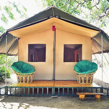 Wilderness Camping Yala Luaran gambar