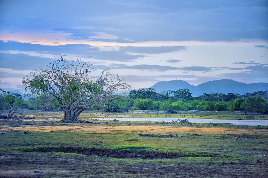 Wilderness Camping Yala Luaran gambar