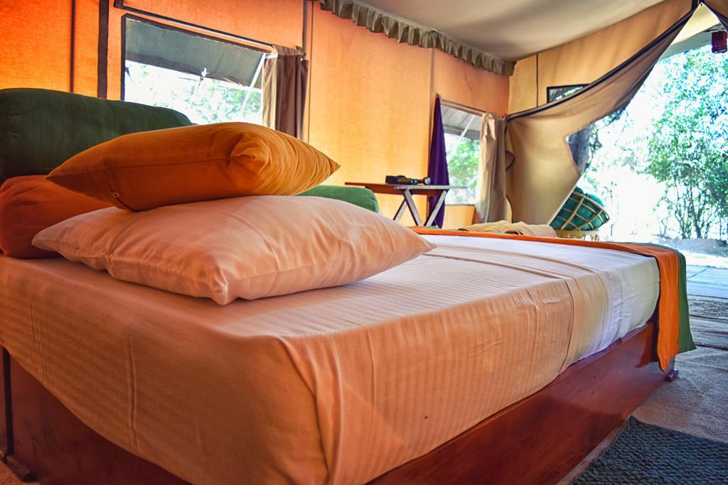 Wilderness Camping Yala Luaran gambar