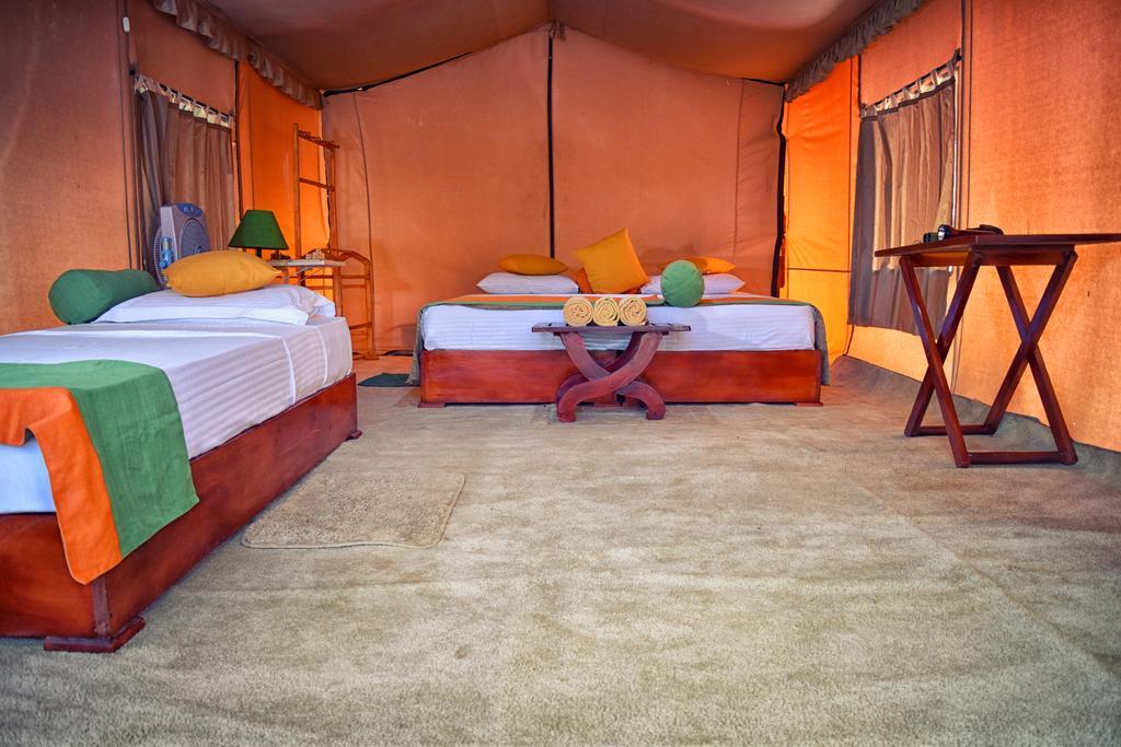 Wilderness Camping Yala Luaran gambar