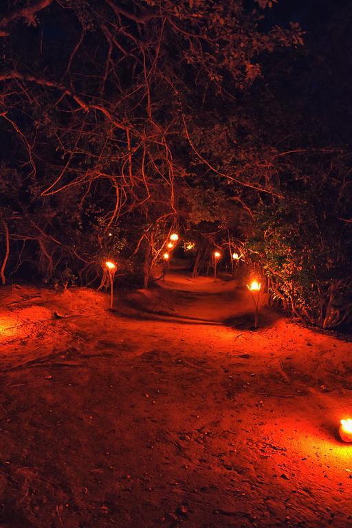 Wilderness Camping Yala Luaran gambar