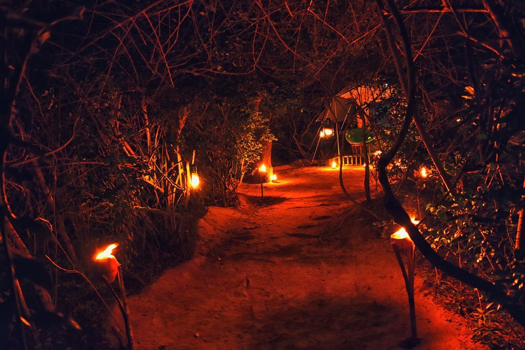 Wilderness Camping Yala Luaran gambar
