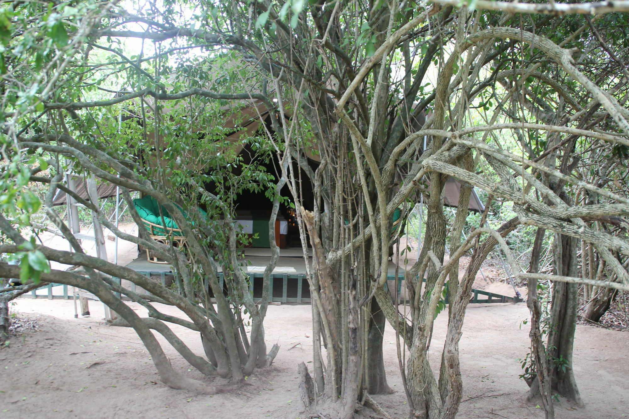 Wilderness Camping Yala Luaran gambar